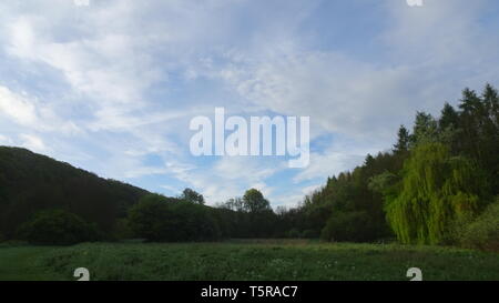 Eastwood Naturschutzgebiet in Bristol UK. In Bristol an einem Frühlingsmorgen im Jahr 2019 getroffen Stockfoto