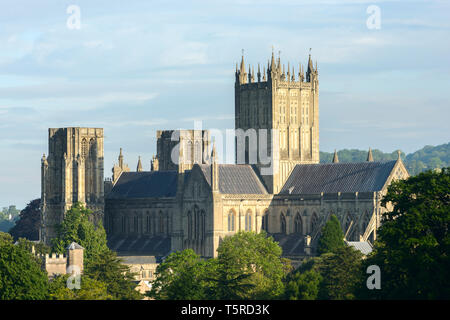 Im Osten Angesichts der Wells Cathedral, Somerset, an einem sonnigen Sommermorgen. Stockfoto