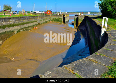 Lydney Hafen aus Severn Estuary, Ebbe mit Schleusentore öffnen aussetzen Schlamm verlandung Hafen Stockfoto