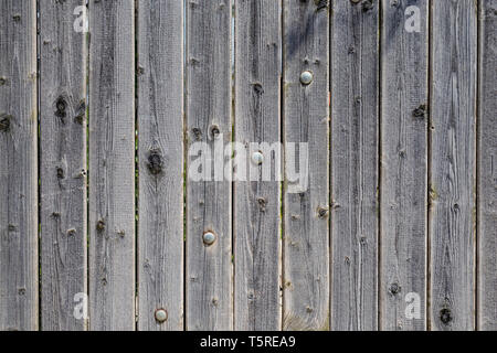 Holzbohlen Hintergrund. Alte, abgetragene natürlichen Holz, Farbe Grau, vertikale Streifen, volle Textur Hintergrund Stockfoto