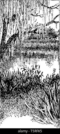 Saint John River ist der längste Fluss in uns, welche Grenzen 12 Counties vintage Strichzeichnung. Stock Vektor