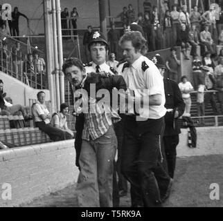 Millwall Football Club, Kalter Schlag Lane, 1978. Fußball-Hooligans verhaftet/vom Stadion während eines Spiels ausgeworfen. Stockfoto