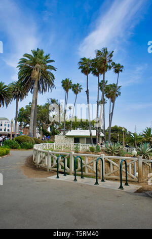 LOS ANGELES, USA - 21. MAI 2018: Palmen und den Pier am Strand von Santa Monica in LA. Palmen und die Pier von Santa Monica Beach in Los Angeles Stockfoto