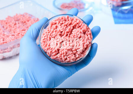 Wissenschaftler Hand in Schutzhandschuh halten Petrischale mit rohes Hackfleisch Probe Stockfoto