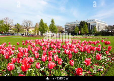 Blumenbeete im Imperial Square und kaiserlichen Gärten Cheltenham Spa Gloucestershire England UK GB Europa Stockfoto
