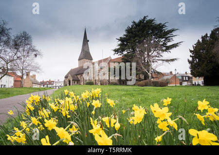 St Michaels, Braintree Stockfoto