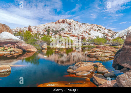 Teich an Barker oder Big Horn Damm in Joshua Tree National Park. Kalifornien. USA Stockfoto