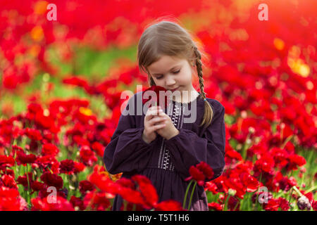 Mädchen mit roten Blume posieren in einem Feld von butterblumen, helle Sonne, schönen Sommer Landschaft Stockfoto