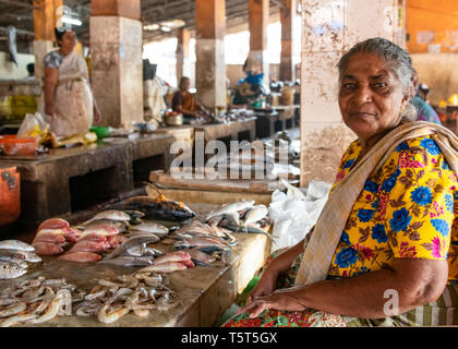 Horizontales Porträt einer Dame, die Fisch auf dem Markt verkauft, Palayam in Trivandrum, Kerala, Indien. Stockfoto