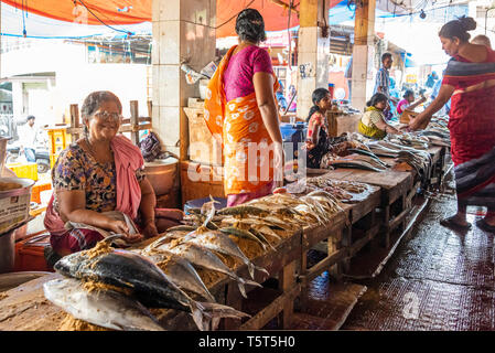 Horizontale Ansicht der Fische steht auf dem Feuchtmarkt in Palayam in Trivandrum, Kerala, Indien. Stockfoto
