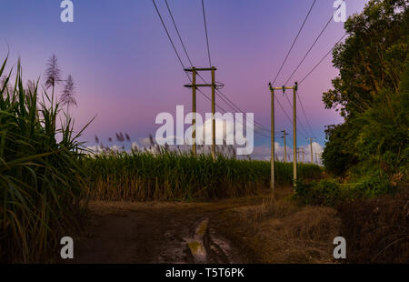 Stromleitungen auf der Insel Mauritius mit einem rosafarbenen Sonnenuntergang Himmel. Stockfoto