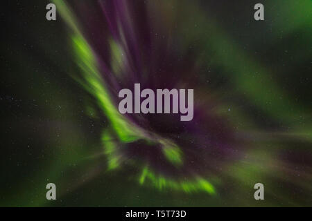 Aurora Borealis über Island im späten September am See Myvatn. Stockfoto