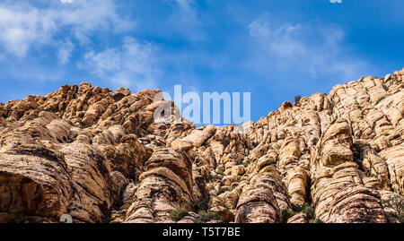 Die felsige Schlucht, Red Rock Canyons Conservation Area, Nevada, USA Stockfoto