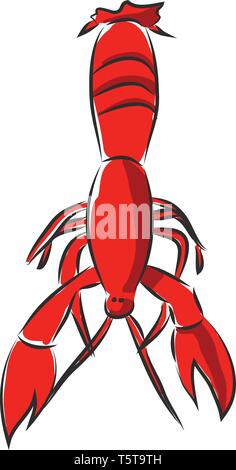 Red crayfish Vektor illsutration auf weißem Hintergrund. Stock Vektor