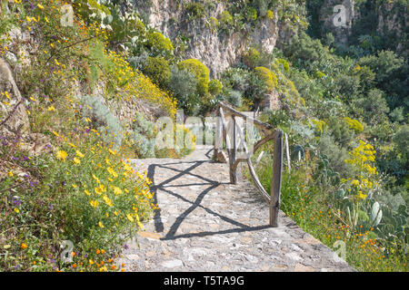 Taormina - der Weg zu den Frühling mediterranen Blumen. Stockfoto