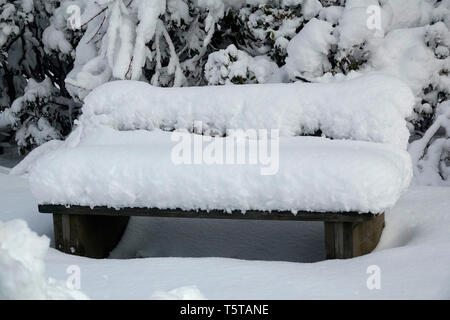 Ein auffälliges Sitzbank an einem Wintertag Stockfoto