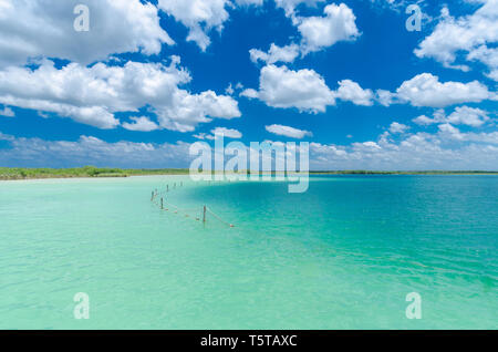 Kaan Luum natürliche See in der Mitte des Regenwaldes, Quintana Roo, Mexiko Stockfoto