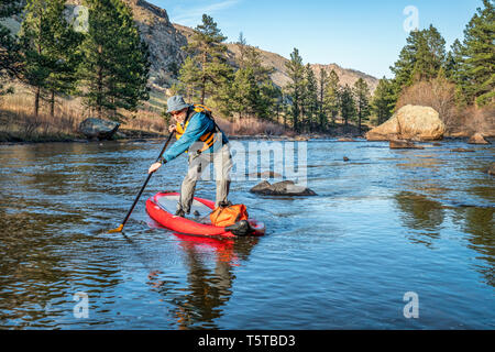 Ältere männliche Paddeln aufblasbare Stand up paddleboard auf einem Berg River - Poudre RIver in den Colorado im Frühjahr Landschaft mit geringer Wasserströmung Stockfoto