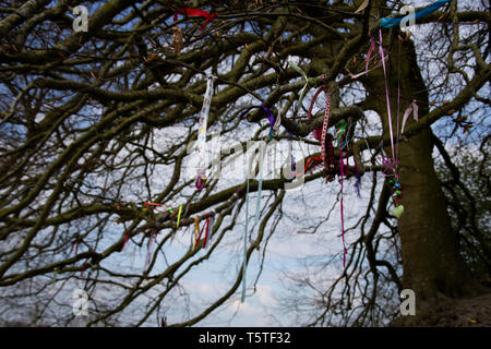 JRR Tolkiens Bäume, Avebury, Wiltshire Stockfoto