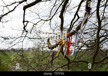 JRR Tolkiens Bäume, Avebury, Wiltshire Stockfoto