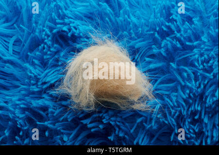 Braunes Fell auf blauen Teppich Hintergrund Nähe zu sehen. Stockfoto