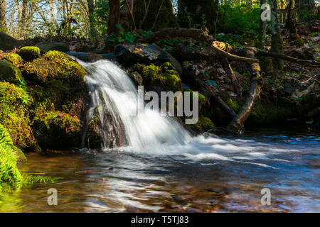 Wasserfall in der Sonne Stockfoto