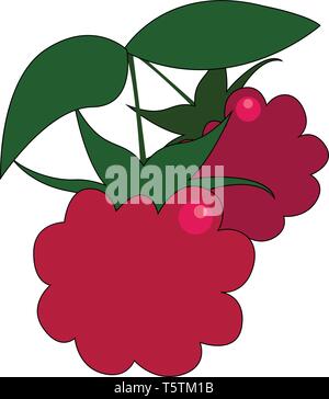 Clipart von zwei roten frisch aussehende Himbeeren mit grünen Blätter hängen auf einem kleinen Zweig und ist bereit, gerupft und durch jemand vector Farbe genossen d Stock Vektor
