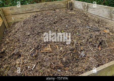 Garten Gut verrotteten Kompost in einem hölzernen Komposteimer. Stockfoto