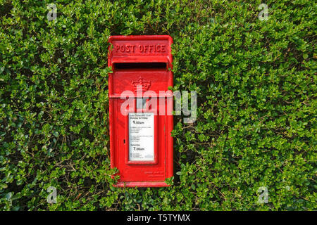 Ein traditionelles rotes British Post Office (Royal Mail) Briefkasten durch eine Hecke in Castle Douglas, Schottland umgeben. Stockfoto