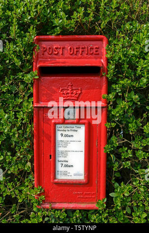 Ein traditionelles rotes British Post Office (Royal Mail) Briefkasten durch eine Hecke in Castle Douglas, Schottland umgeben. Stockfoto