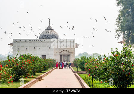 Die Khas Mahal Gebäude, das als private Residenz der Moghul-kaiser innerhalb des Red Fort in Delhi Nordindien serviert. Stockfoto