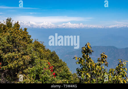 Sicht auf die schneebedeckten indischen Himalaya um Nanda Devi von 'Nullpunkt' in der binsar Region Uttarakhand im Norden Indiens Stockfoto