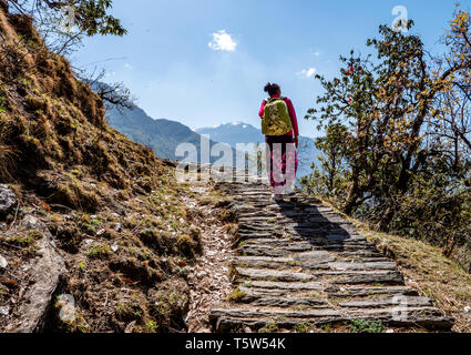 Auf steilen Pfaden in den Himalaya von Uttarakhand im nördlichen Indien Stockfoto