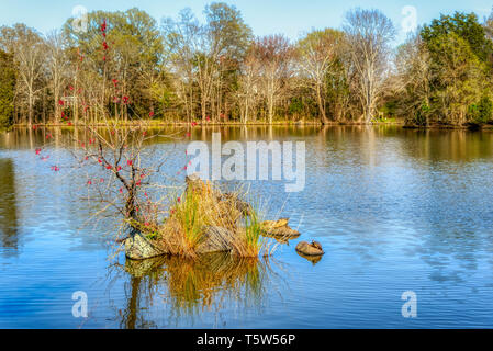 Schildkröten ruht auf Felsen in North Carolina See Stockfoto