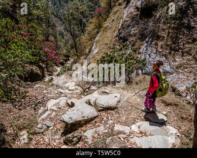 Wandern Auf steilen Bergpfaden über dem Saryu Tal im Himalaya von Uttarakhand im nördlichen Indien Stockfoto