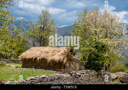 Gras reetgedeckten Scheune auf einem Bauernhof oberhalb des Dorfes Supi in der Saryu Tal des Uttarakhand im Norden Indiens Stockfoto