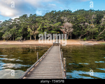 Wharf, führende aus heimischen Buchenwälder, über Wellen von Licht auf klares Wasser, Lake Hauroko, Fiordland National Park, Southland, Neuseeland Stockfoto