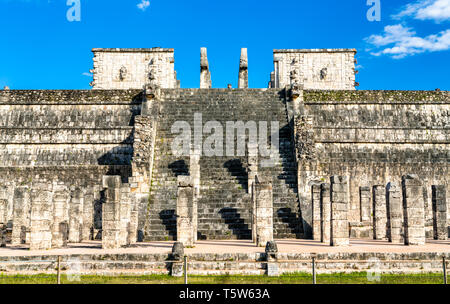 Tempel der Krieger in Chichen Itza, Mexiko Stockfoto