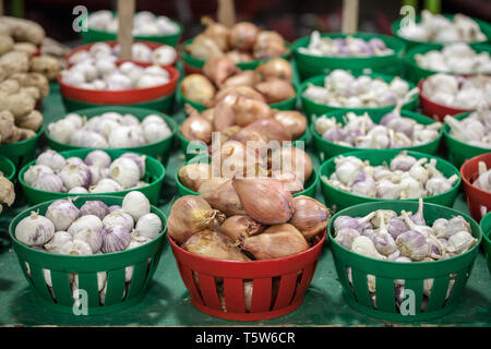 Eimer mit roten Zwiebeln und Knoblauch zum Verkauf auf dem kanadischen Markt in Montreal. Die Kultur dieser zwei Glühlampen sind typische aus der Landwirtschaft der Pro Stockfoto