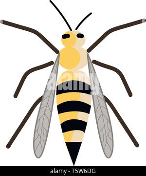 Ein niedliches Wasp ist sitzend Vektor- oder Farbe Abbildung: Stock Vektor