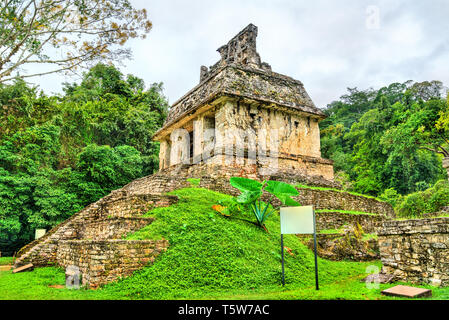 Ruinen von Palenque in Chiapas, Mexiko Stockfoto