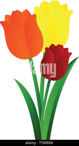 Vector Illustration von orange-gelbe und rote Tulpen mit grünen Blätter auf weißem Hintergrund. Stock Vektor