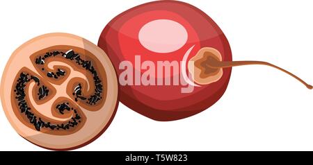 Red tamarillo Früchte eine halbe tamarillo mit schwarzen Samen Vector Illustration auf weißem Hintergrund. Stock Vektor