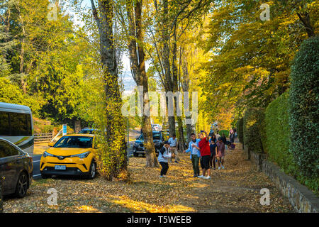 Mount Macedon, Victoria, Australien - Straßen mit Touristen, die Bilder von der Bäume im Herbst gefüllt Stockfoto