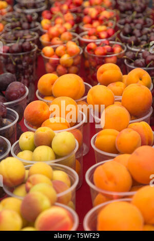 Pfirsiche, Nektarinen, Pflaumen und Kirschen in durchsichtigen Behältern werden ordentlich für den Verkauf angezeigt. Stockfoto