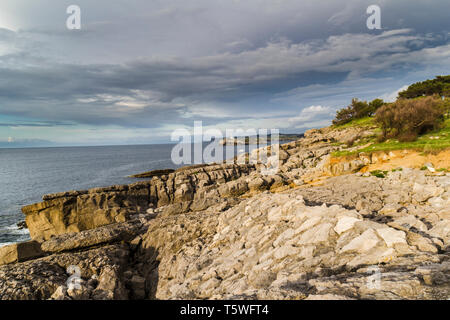 Península de la Magdalena Stockfoto