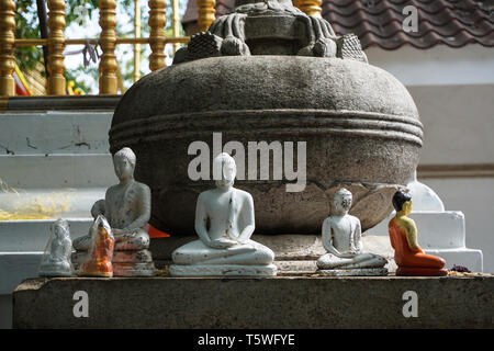 Mehrere kleine Buddha Figuren im Tempel in Sri Lanka Stockfoto