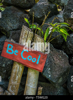 Eine freundliche Begrüßung sitzt draußen ein hawaiian Zuhause auf der Big Island von Hawaii. Stockfoto