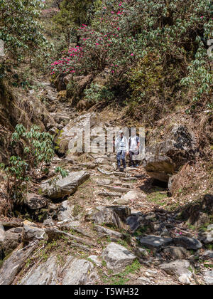 Wandern Auf steilen Bergpfaden über dem Saryu Tal im Himalaya von Uttarakhand im nördlichen Indien Stockfoto