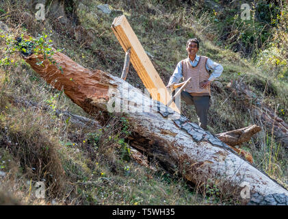 Glücklich lächelnde Mann sägen Dielen von Hand aus einem Gefällten Wald Baum im binsar Tal des Uttarakhand im Norden Indiens Stockfoto